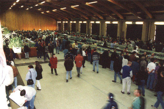 La bourse aux poissons